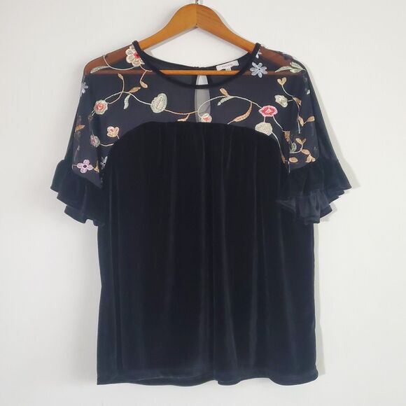Pleione Top Large Black Velvet Sheer Floral Embroidered Fairy Whimsygoth Gothic - Picture 1 of 13